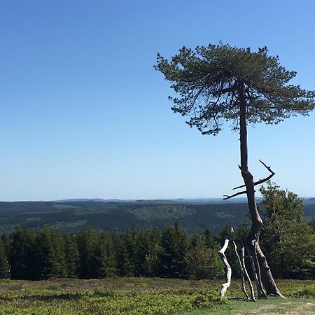 Berg- Und Seeblick Winterberg Kültér fotó