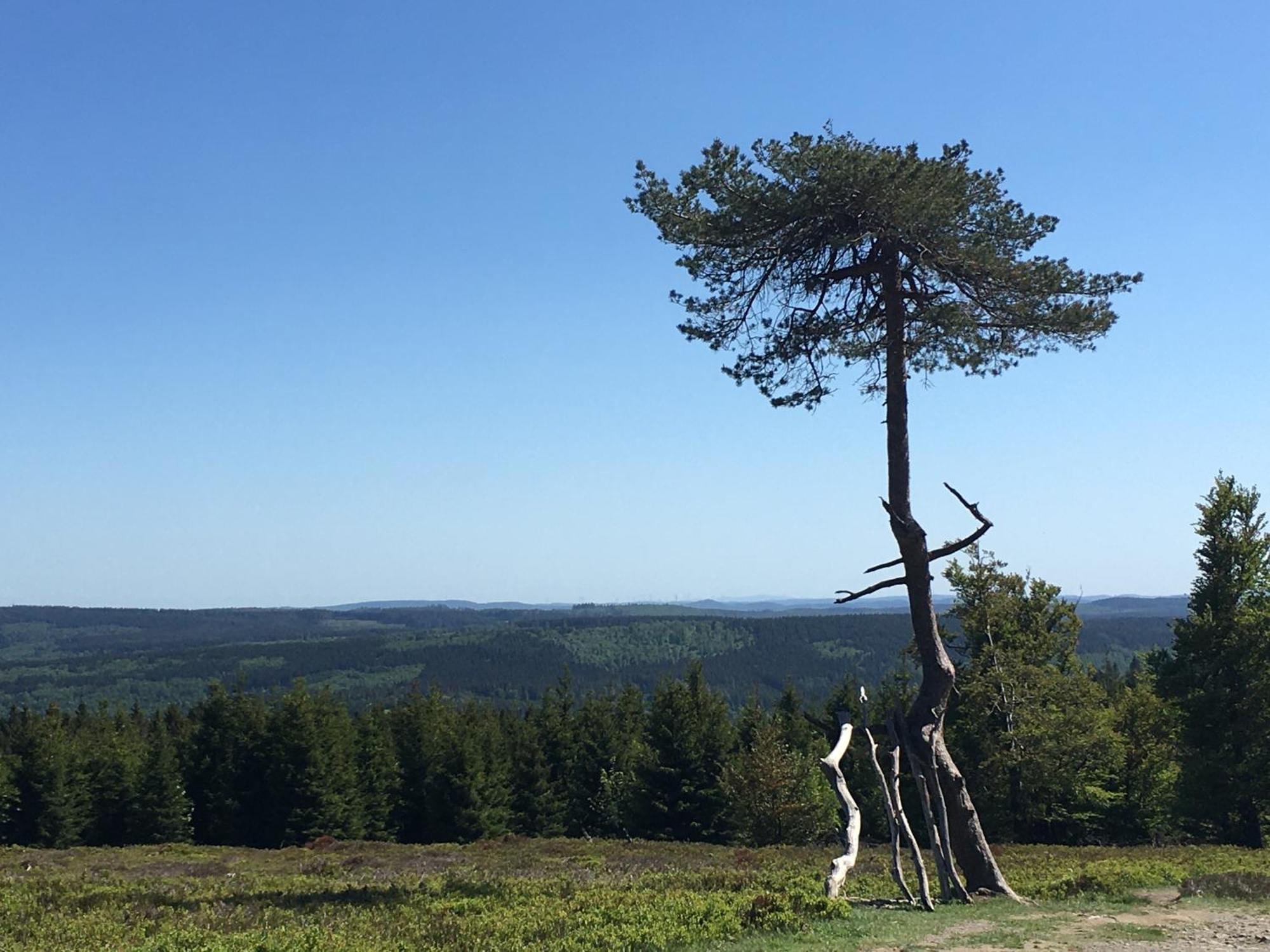 Berg- Und Seeblick Winterberg Kültér fotó